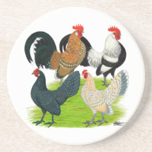 Dutch Bantam Quartet Beverage Coaster