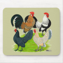 Dutch Bantam Quartet Mouse Pads