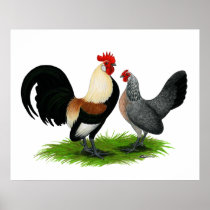 Dutch Bantams:  Cream Light Brown Poster