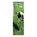 Dutch Cows Holland Bookmark Photo Art business cards