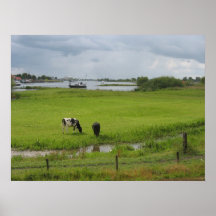 Dutch landscape Cows & Clouds Holland Photo Poster