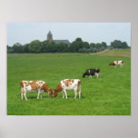 Dutch landscape Cows & Villag Holland Photo Poster posters