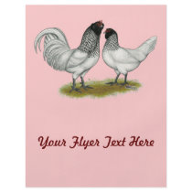 Dutch Owl Beard Chickens