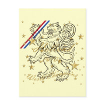 Dutch soccer Holland 2010 World Champions Post Cards
