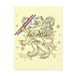 Dutch soccer Holland 2010 World Champions postcards