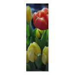 Dutch Tulips Holland Bookmark Photo Art business cards