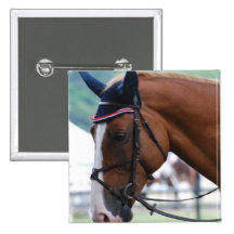 Dutch Warmblood Horse Button