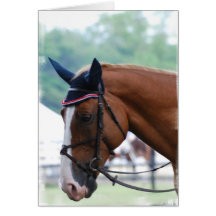 Dutch Warmblood Horse Greeting Card