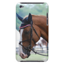 Dutch Warmblood Horse iTouch Case Barely There iPod Covers