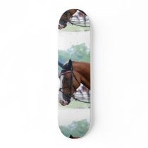 Dutch Warmblood Horse Skateboard
