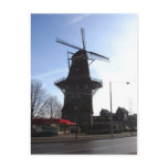 Dutch Windmill postcards