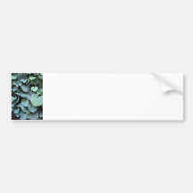 Dutchman's Pipe leaves Bumper Stickers