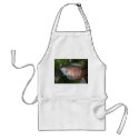 Dwarf Gourami - Colisa lalia aprons