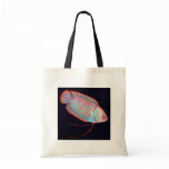 Dwarf Gourami Tropical Fish Bag