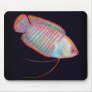 Dwarf Gourami Tropical Fish Mousepad