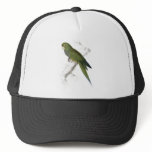 Dwarf Parrakeet-Maccaw by Edward Lear hats