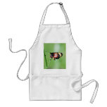 Dwarfed Aprons