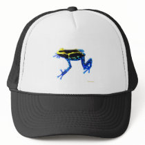 Dyeing Poison Arrow Frog Mesh Hat