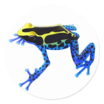 Dyeing Poison Frog Sticker
