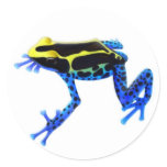 Dyeing Poison Frog stickers