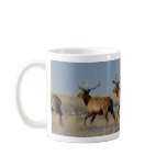 E0002 Bull Elk Mugs