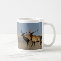 E0002 Bull Elk Mugs