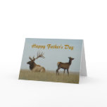 E0005 Bull Elk and Yearling Cards