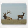 E0005 Bull Elk Mousepads