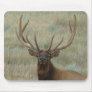 E0010 Bull Elk in Velvet head shot Mousepad