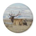 E0022 Bull Elk snowy hills magnets