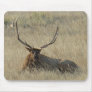 E0025 Bull Elk Mousepad