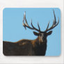 E0027 Bull Elk Mousepads