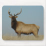 E0043 Bull Elk mouse pads