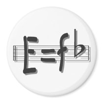 E=F flat Refrigerator Magnets