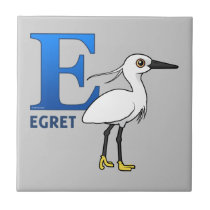 E is for Egret