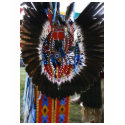 Eagel Feather t-shirts