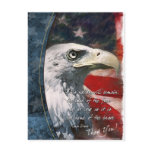 Eagel Thank You postcards