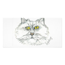 Eager Cat Picture Card