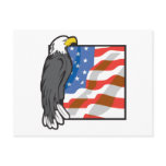 Eagle America Post Cards
