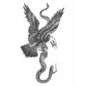 eagle and snake t-shirts