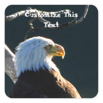 Eagle at Attention; Customisable Square Sticker