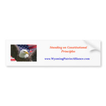 eagle beginning best, Standing on Constitutiona... Bumper Stickers