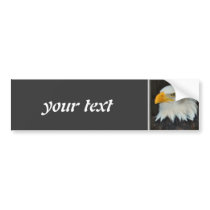 eagle bumper stickers