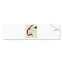 Eagle Bumper Stickers