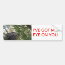 Eagle Eye Bumper Sticker