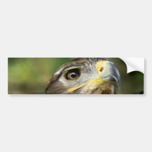 Eagle Eye  Bumper Sticker