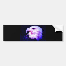 Eagle Eye Bumper Sticker