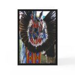 Eagle Feather