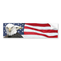 Eagle flag bumper sticker