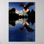 Eagle-flight-12 Print